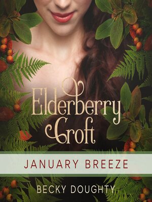 cover image of January Breeze
